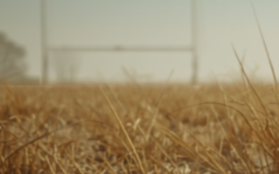 Drought conditions continue – guidance
