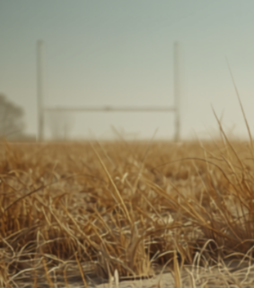 Drought conditions continue – guidance